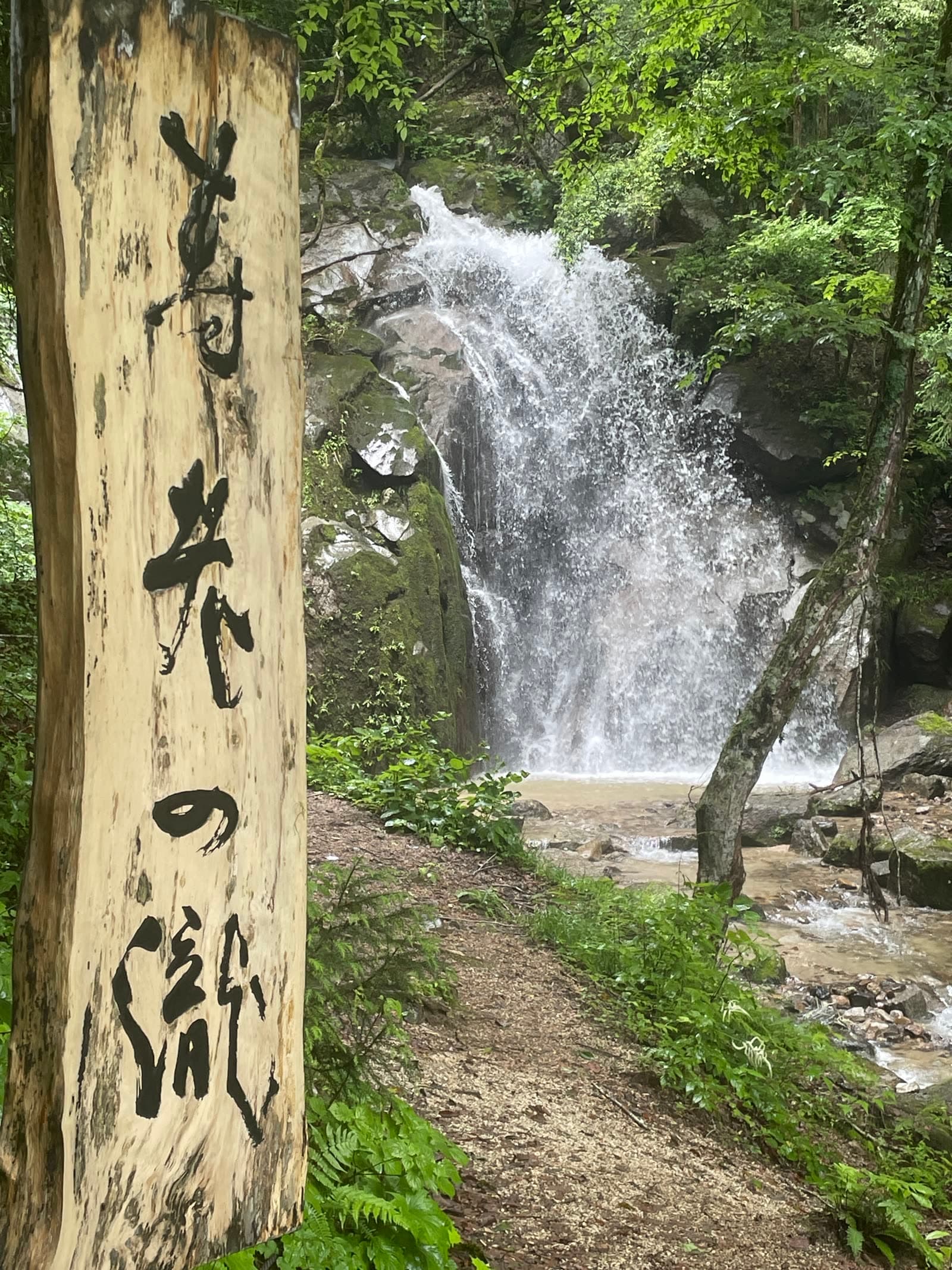 木の看板に寿老の滝と書かれた、森の中の滝